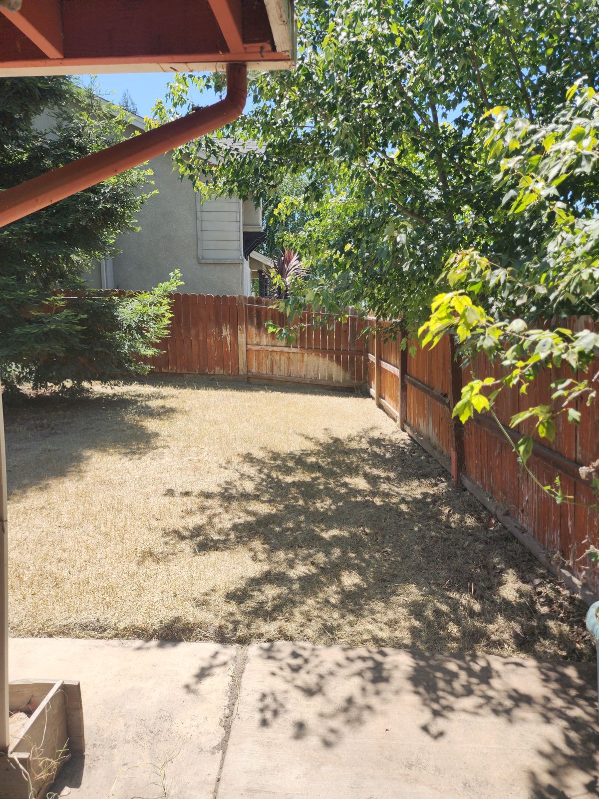 Finished yard cleanup in Salida
