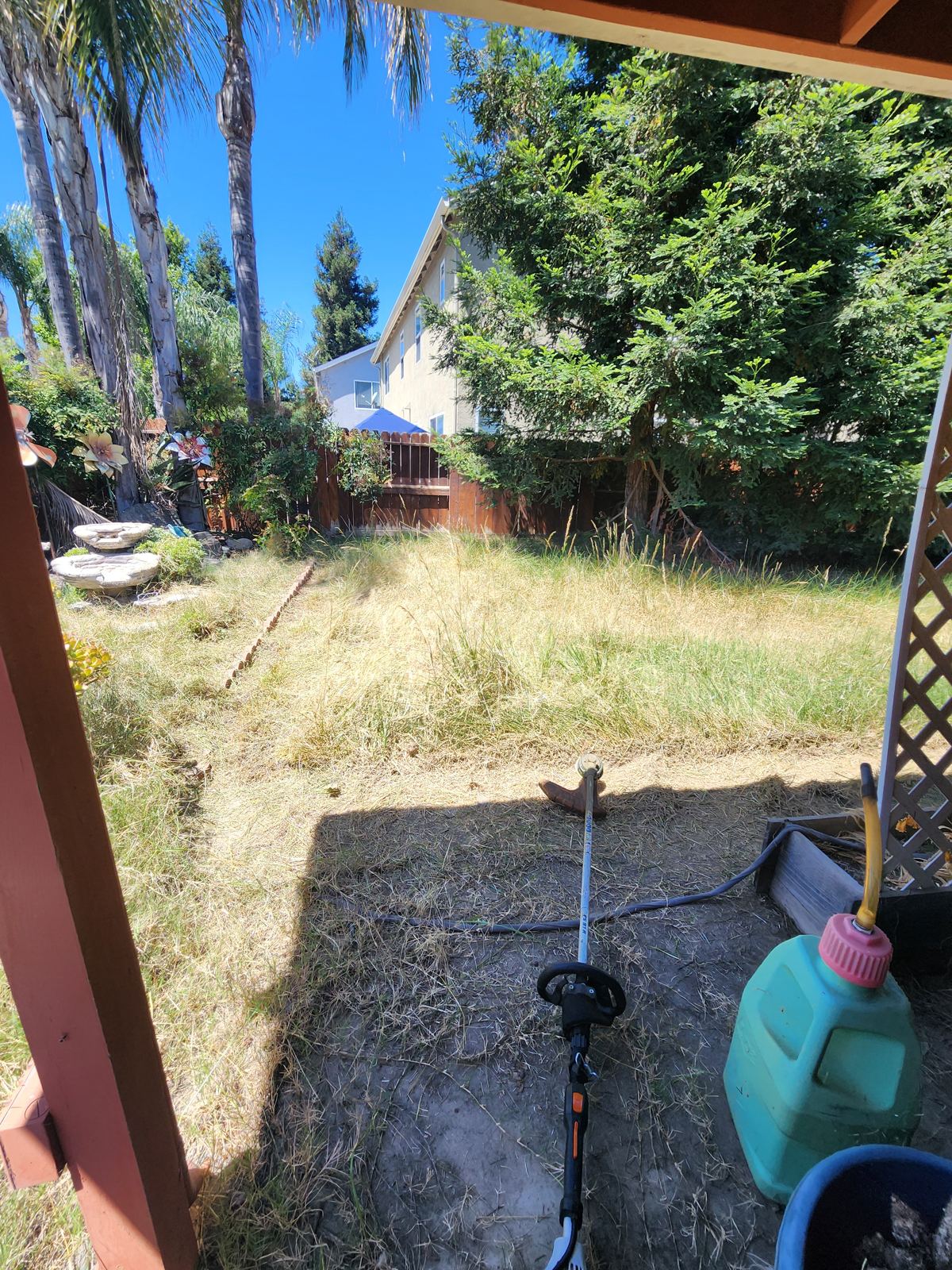 Overgrown backyard before cleanup in Salida