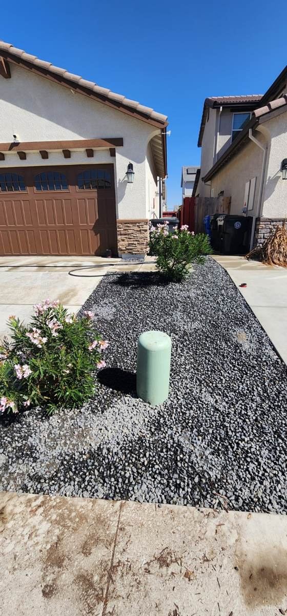 Finished decorative rock and planting in a Manteca front yard
