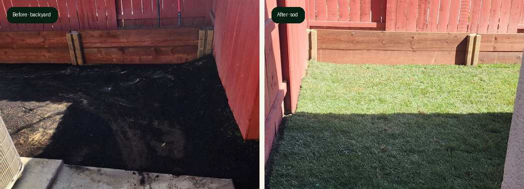 Manteca backyard before and after sod