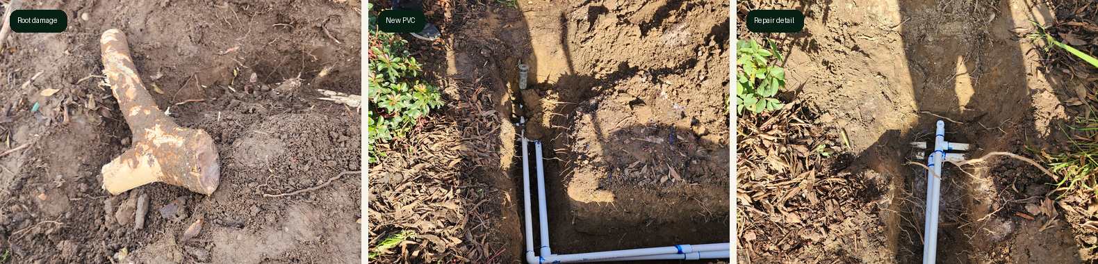 Modesto root-damaged irrigation repair stages