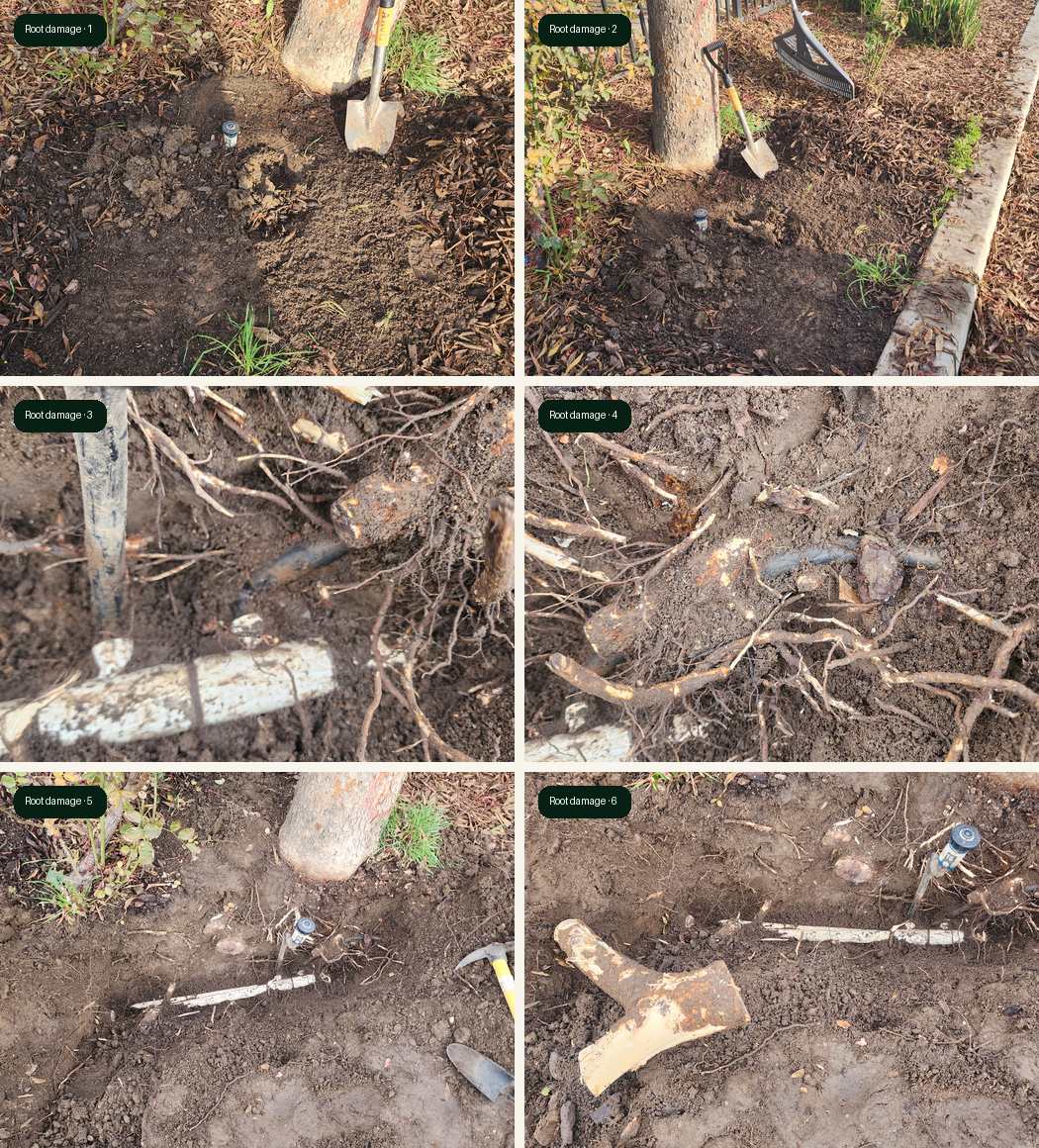 Modesto irrigation line repair part 1