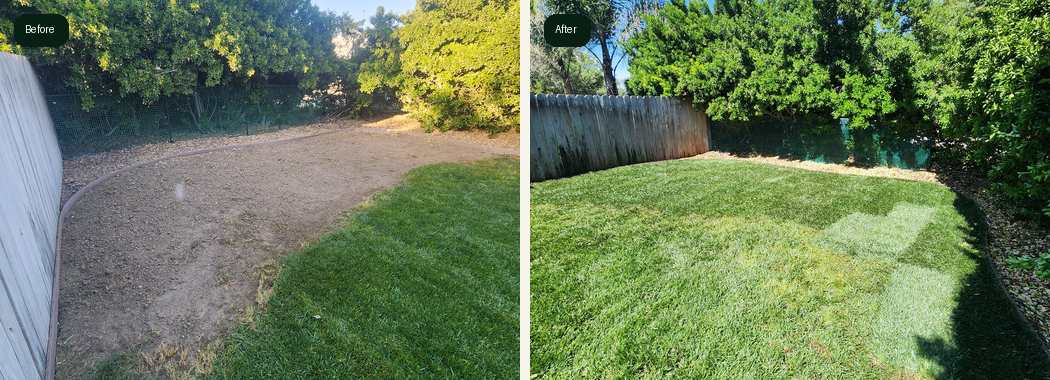 Salida sod before and after