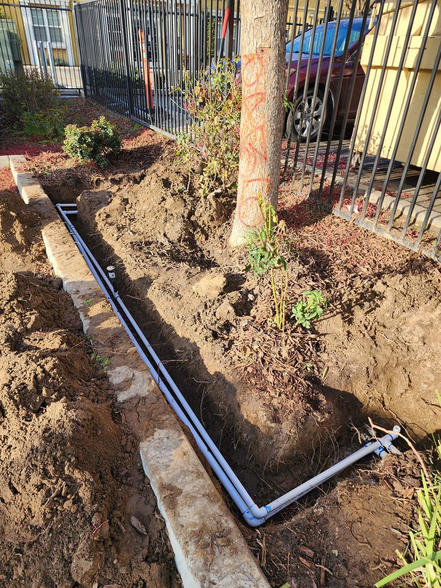 Repaired irrigation line routed around tree roots in Modesto