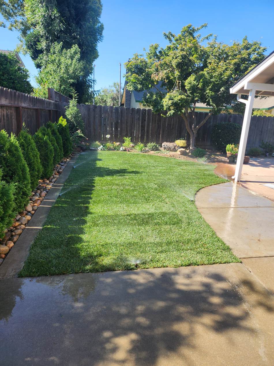 Finished backyard sod installation in Escalon