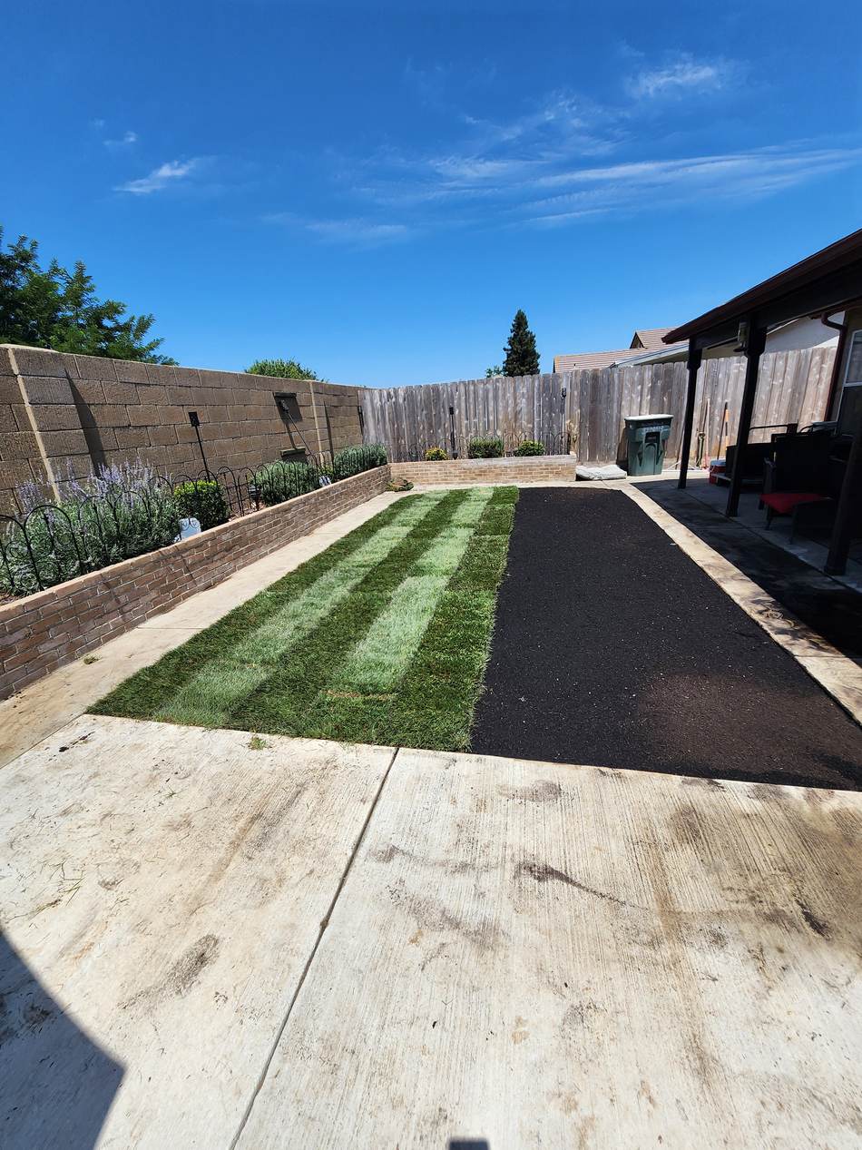 Fresh sod installed in the same Salida backyard area
