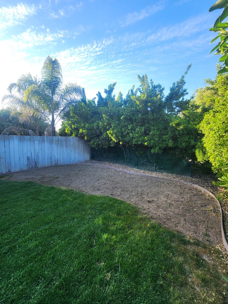 Bare backyard area before sod installation in Salida